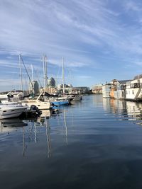 Sailboats moored in harbor