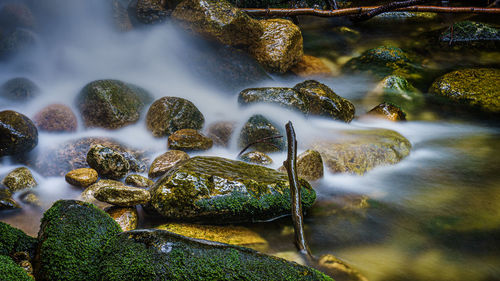 Scenic view of waterfall in forest