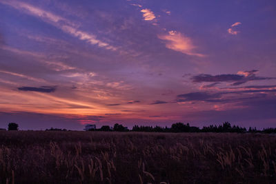 Scenic view of field against sky during sunset