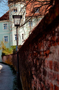 Street light and bare tree against building