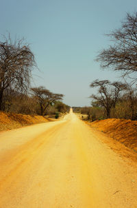 Dirt road along plants and trees against clear sky