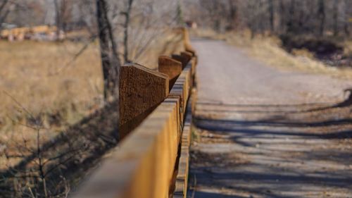 Close-up of metal fence by trees in forest