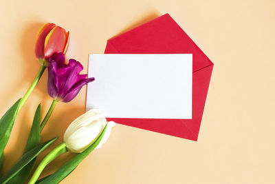 Close-up of red roses against white background