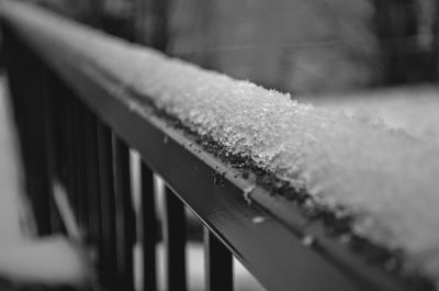 Close-up of snow covered railing