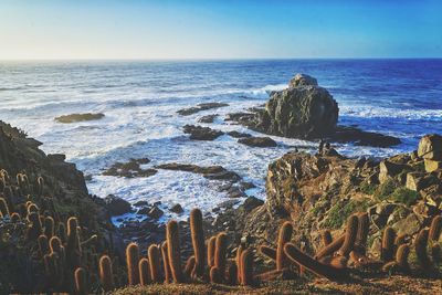 Scenic view of sea against clear sky