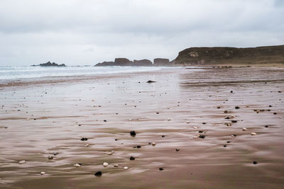 Scenic view of beach against sky