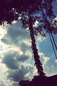 Low angle view of trees against cloudy sky