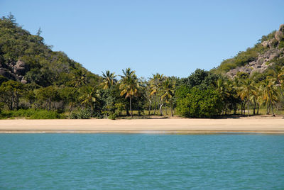 Sea and palm beach at radical bay, viewed from a boat off magnetic island, queensland, australia