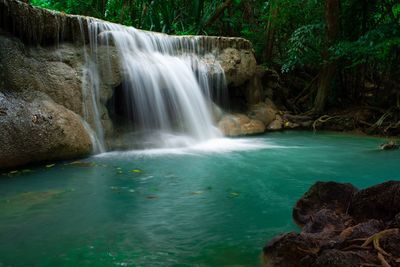 Scenic view of waterfall in forest