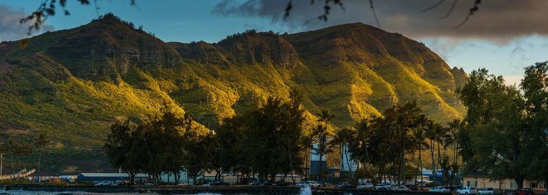 Scenic view of trees and mountains against sky