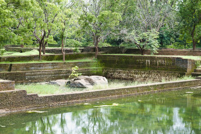 Scenic view of river by trees