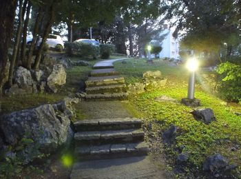 Walkway amidst trees in park