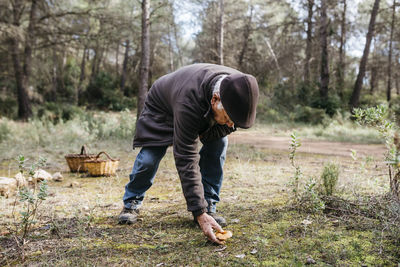 Senior man finding mushroom in the forest