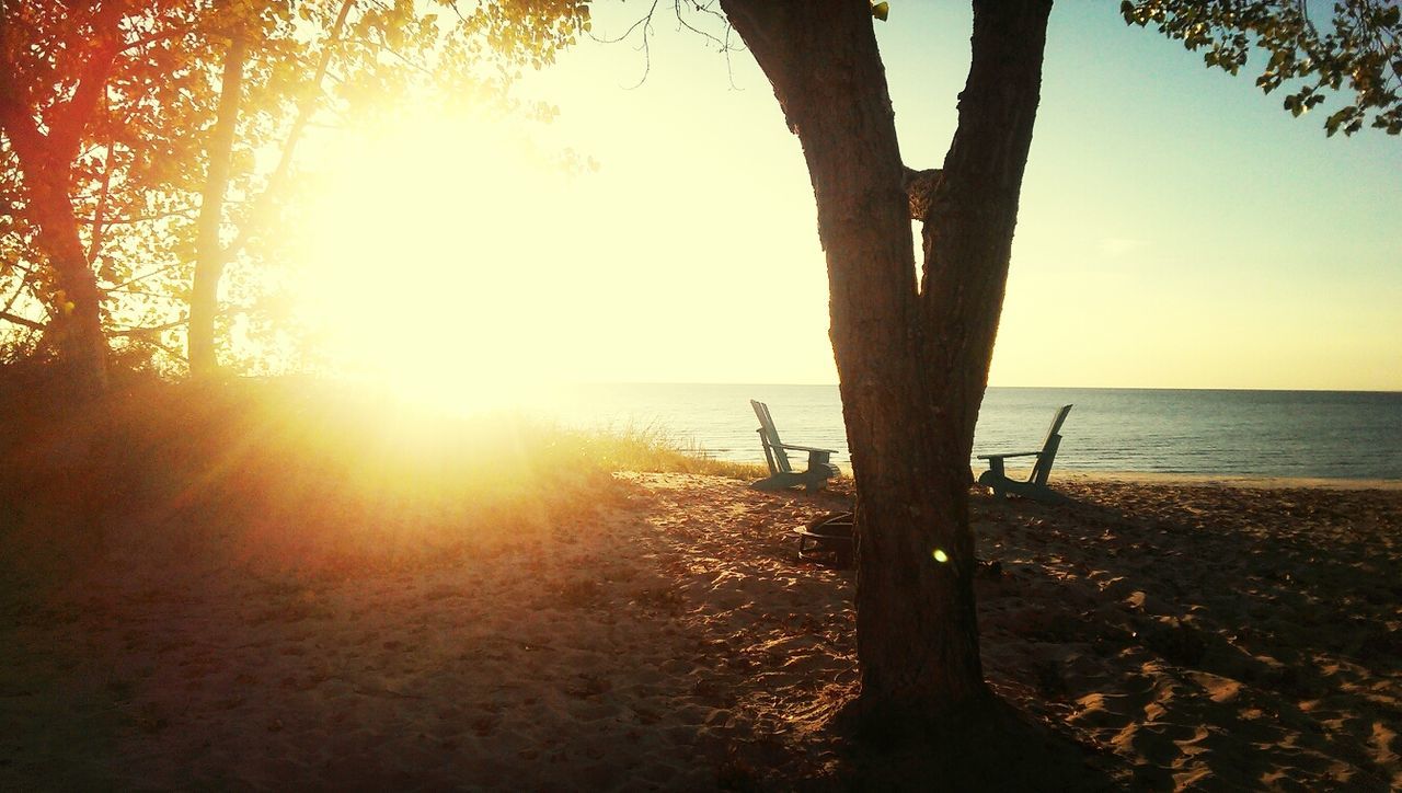 sun, sunset, tranquility, sunlight, tranquil scene, sea, water, scenics, horizon over water, sunbeam, beauty in nature, tree, nature, lens flare, tree trunk, sky, idyllic, beach, silhouette, branch