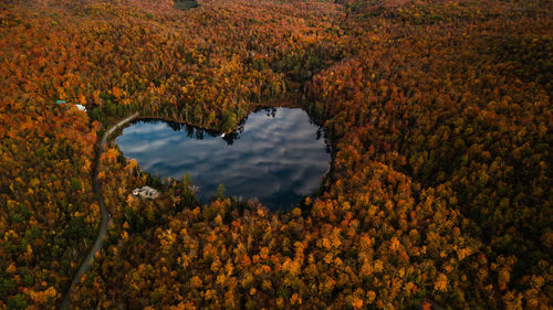 High angle view of trees by heart lake during autumn