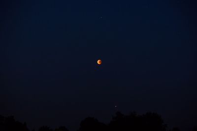 Low angle view of silhouette trees against clear sky at night