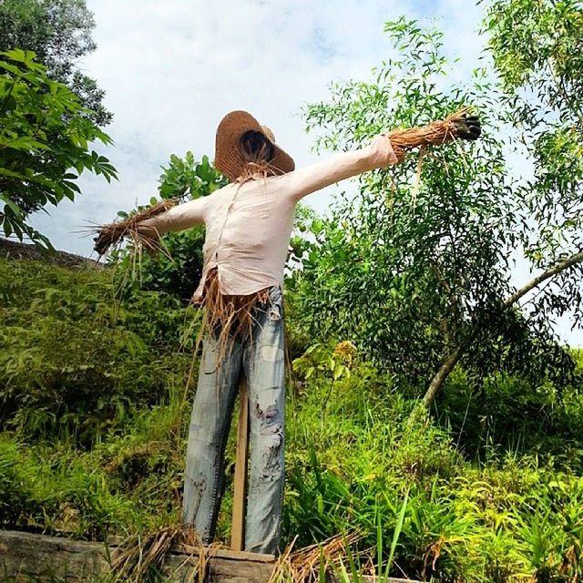 tree, sculpture, statue, sky, human representation, growth, art and craft, low angle view, art, green color, creativity, plant, grass, day, nature, outdoors, no people, park - man made space, tranquility