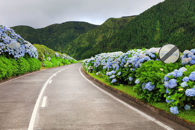 Road amidst plants and mountains against sky