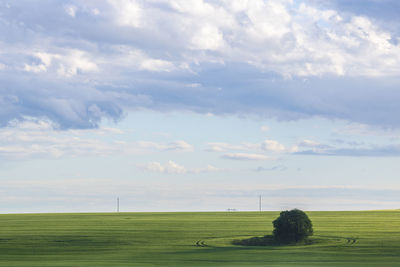 Scenic view of field against sky