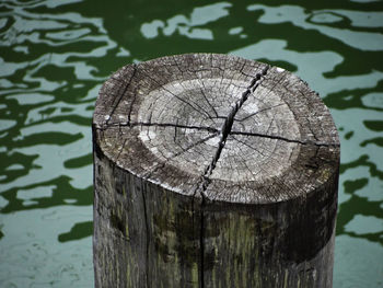 High angle view of tree stump on wooden post