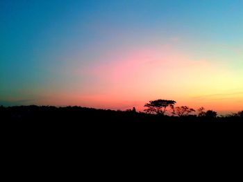 Silhouette of trees at sunset