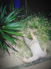 Close-up of woman in pond