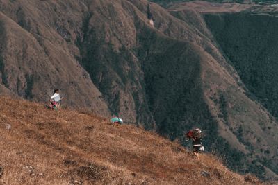 Panoramic view of people walking on land