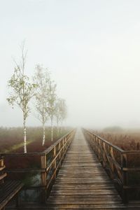 Boardwalk amidst trees against clear sky