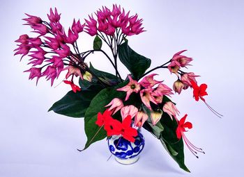 Close-up of red flowers against sky