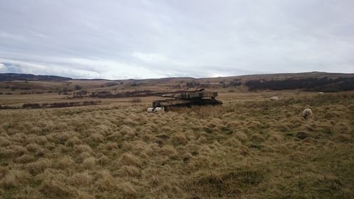 Scenic view of field against cloudy sky