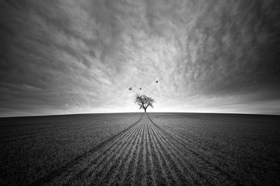 Scenic view of landscape against sky