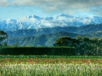 Scenic view of landscape against cloudy sky