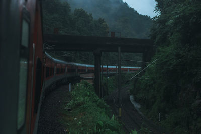 Train passing through forest