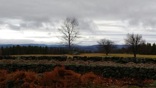 Scenic view of field against cloudy sky