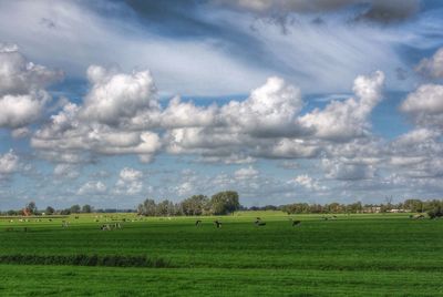 Scenic view of grassy field against cloudy sky