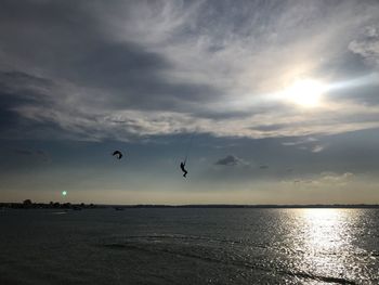Birds flying over sea