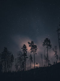 Low angle view of silhouette trees against sky at night