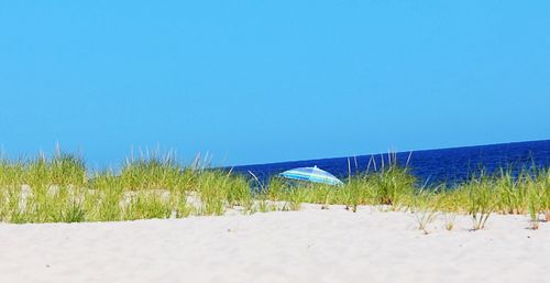 Scenic view of beach against clear blue sky