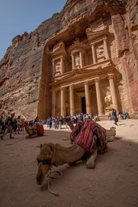 Group of people in a desert