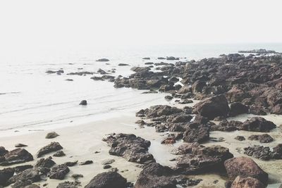 Scenic view of sea against clear sky