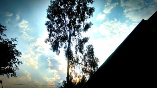 Low angle view of silhouette trees against sky