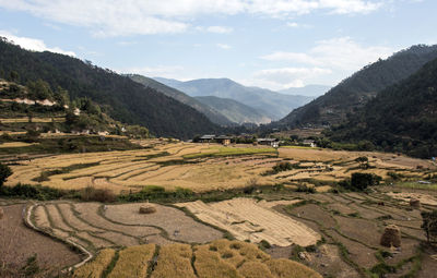 Scenic view of agricultural field against sky