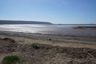 Scenic view of beach against clear sky