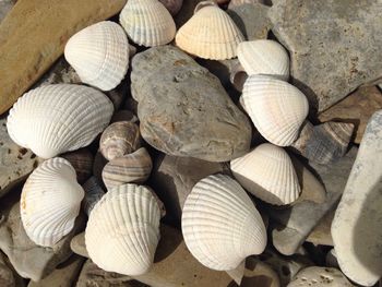 Full frame shot of beach details