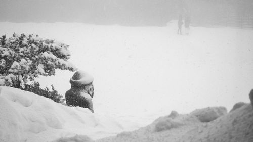 Close-up of snow on field against sky