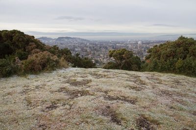 Scenic view of landscape against sky