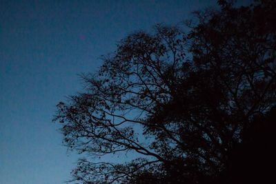 Low angle view of silhouette tree against clear sky