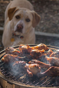 Close-up of meat on barbecue grill with dog standing in background