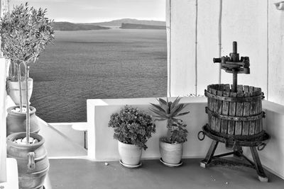 Potted plant on table by sea against sky