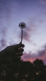 Close-up of hand holding dandelion against sky